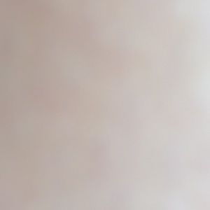 Meet your Posher, Carter